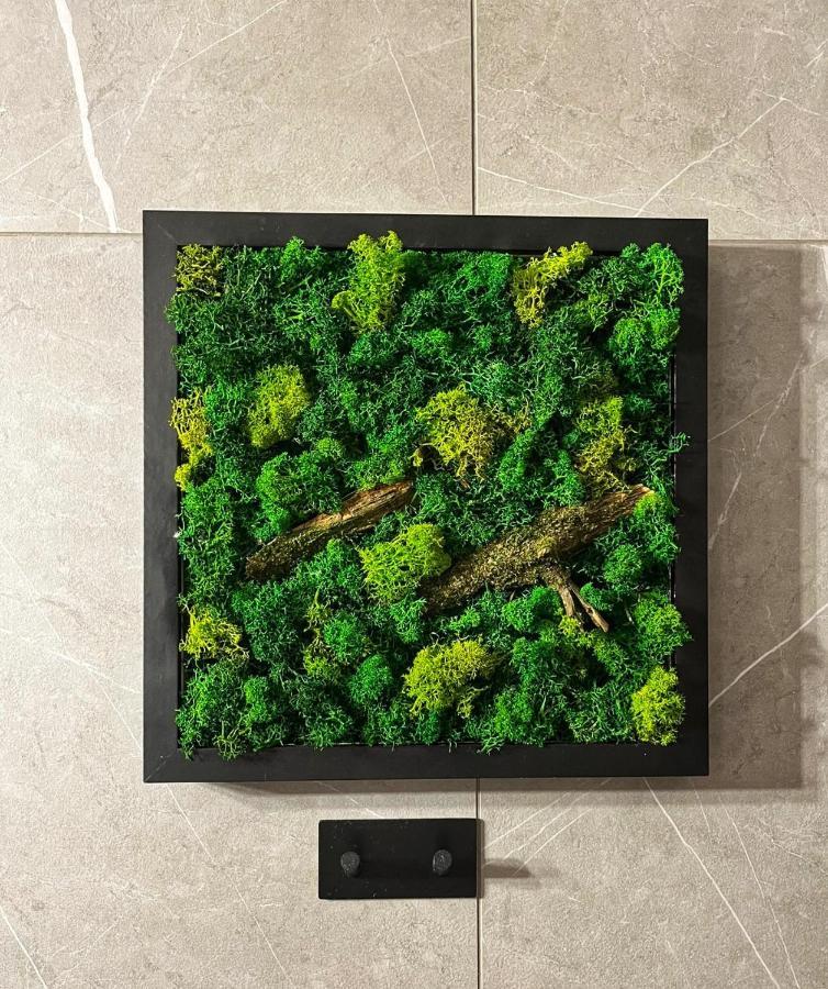 Moje Pieniny Apartament Szczawnica Bagian luar foto