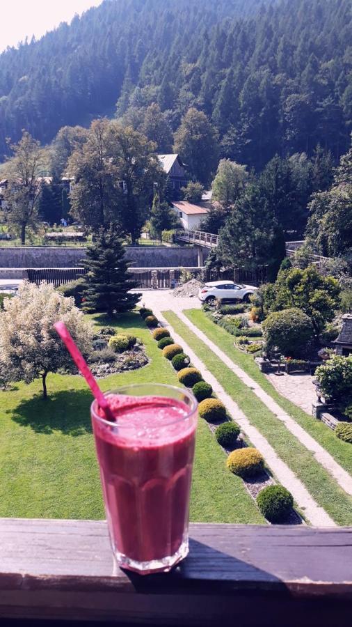 Moje Pieniny Apartament Szczawnica Bagian luar foto